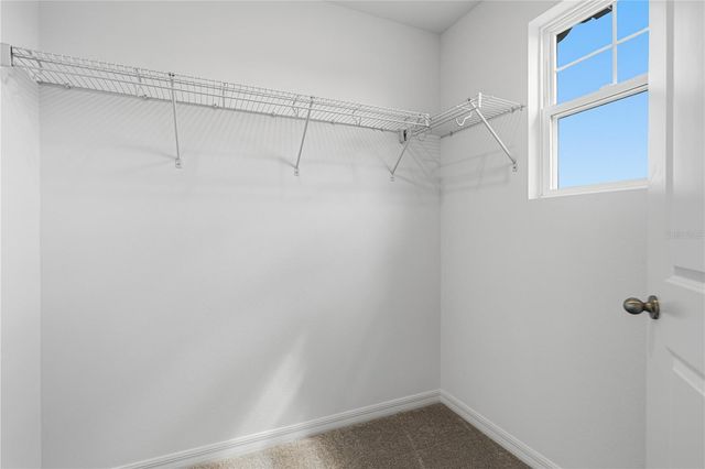17392 SWEET MORO DRIVE, Winter Garden, FL 34787