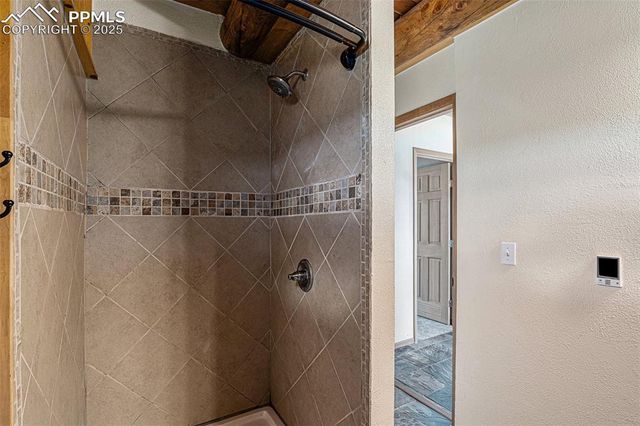 14077 S Highway 67, Woodland Park, CO 80863