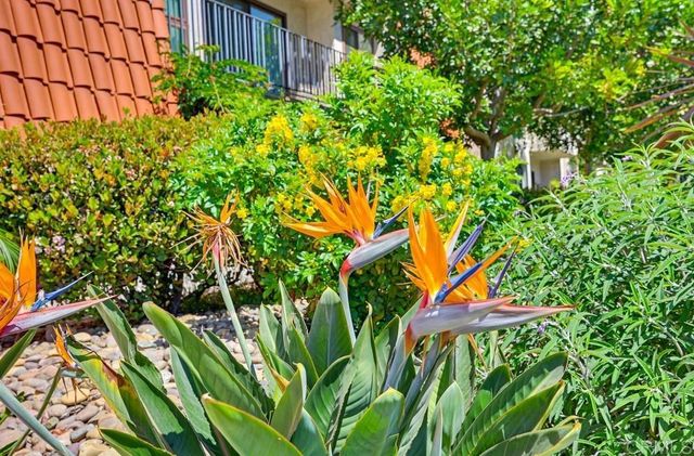 6780 Friars Rd 366, Mission Valley, CA 92018