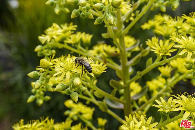 949 N Avenue 49, Los Angeles, CA 90042