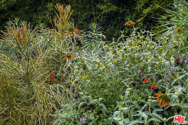 949 N Avenue 49, Los Angeles, CA 90042