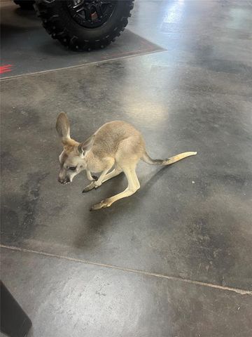 1201 N STALLION Drive, Guthrie, OK 73044