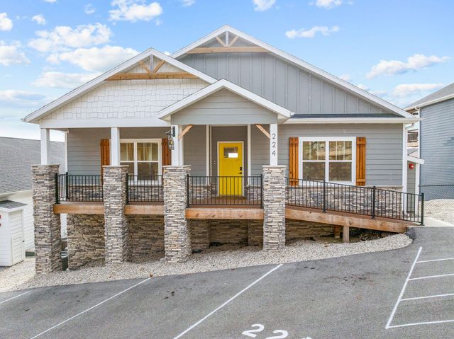 224 David Shawn Drive, Indian Point, MO 65616