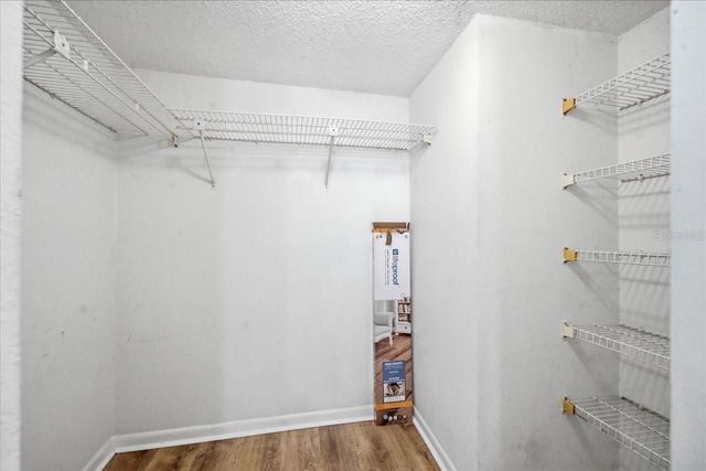 3399 MERMOOR DRIVE 101, Palm Harbor, FL 34685