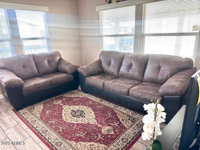 650 N Hawes Road 3511, Mesa, AZ 85207