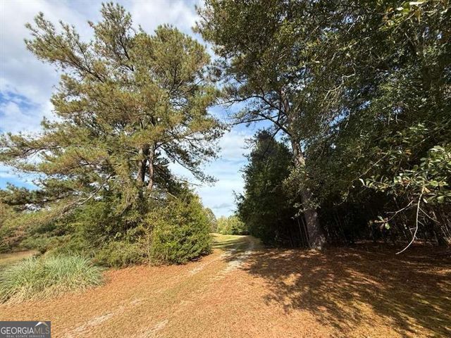 3113 PRESS MANN, Elberton, GA 30635