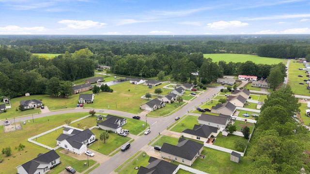 117 Cottage Creek Circle, Conway, SC 29527