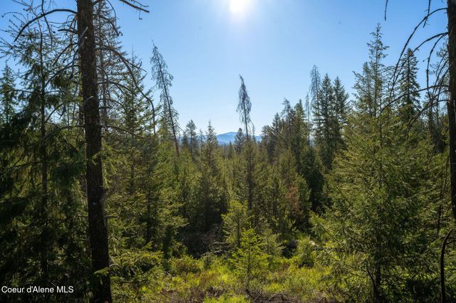 91 PRIDE CT, Spirit Lake, ID 83869