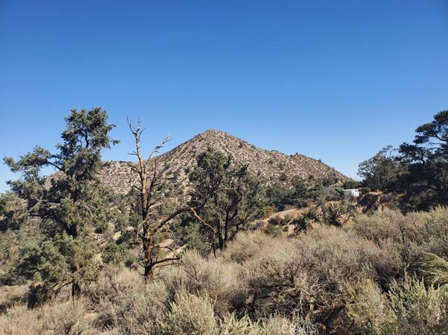 0 Old Valley Springs Road, Wrightwood, CA 92372