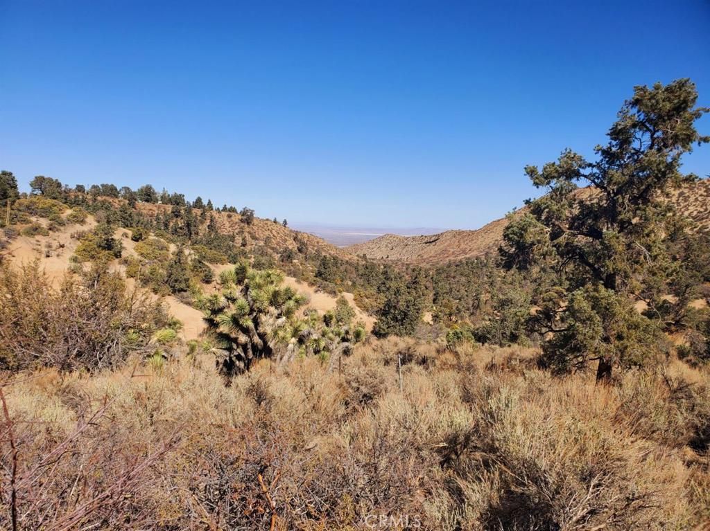 0 Old Valley Springs Road, Wrightwood, CA 92372