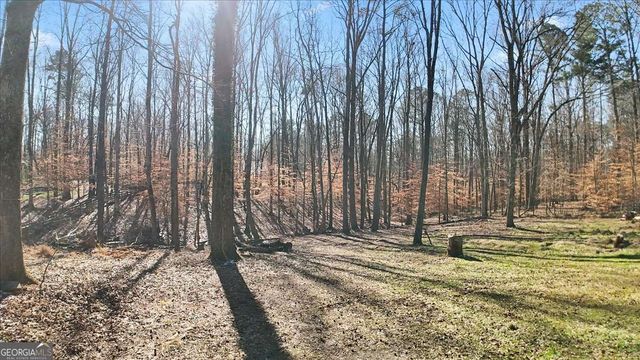 1468 Trinity Church Road, Canton, GA 30115