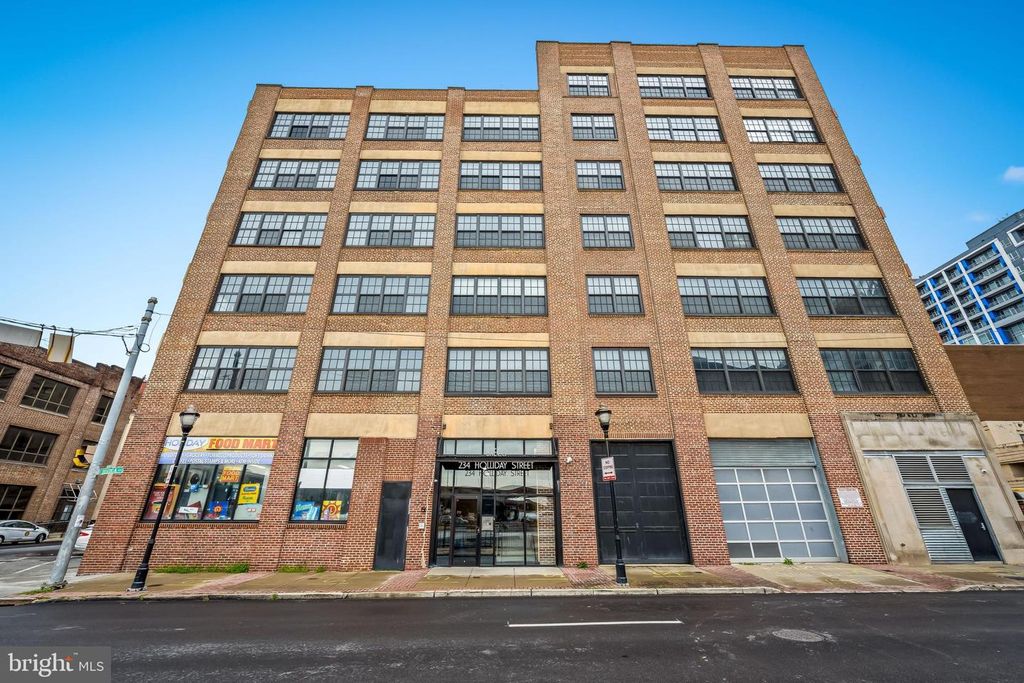 234 HOLLIDAY ST #502, Baltimore, MD 21202