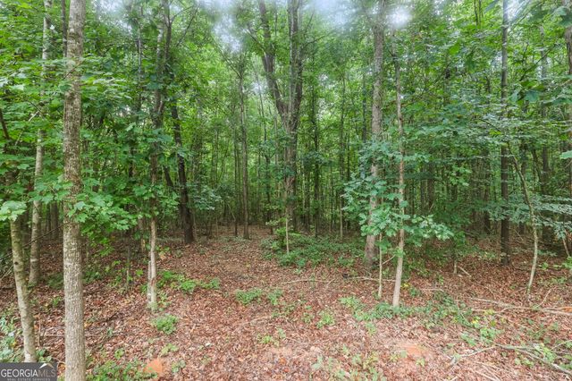 373 Fairview School Road, Demorest, GA 30535