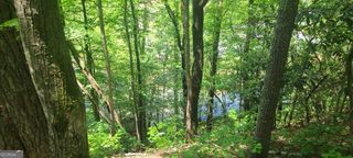 0 Ber Weg, Helen, GA 30545