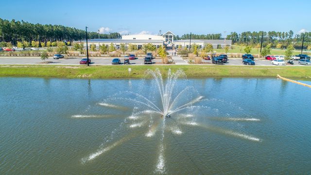 291 Firewheel Court, Summerville, SC 29486