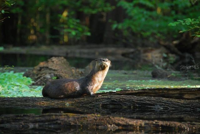 1376 RIVERSIDE AVENUE, Fort White, FL 32038