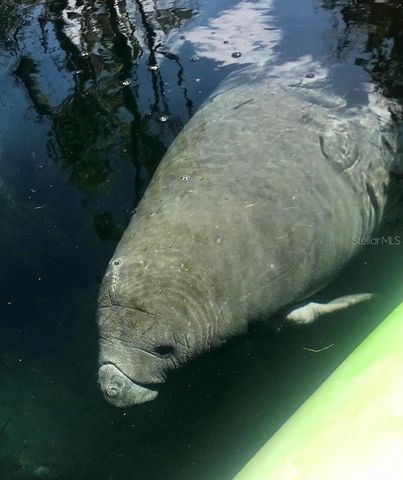 1376 RIVERSIDE AVENUE, Fort White, FL 32038