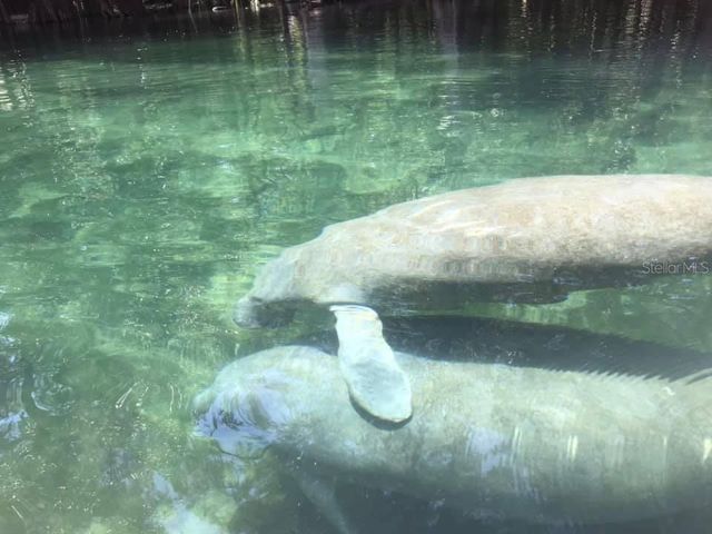 1376 RIVERSIDE AVENUE, Fort White, FL 32038