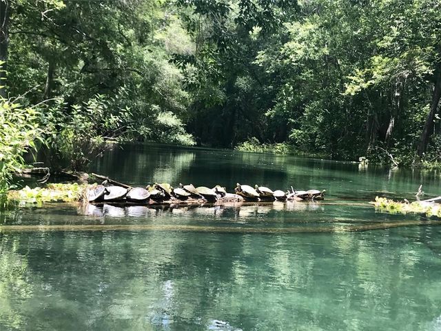 1376 RIVERSIDE AVENUE, Fort White, FL 32038