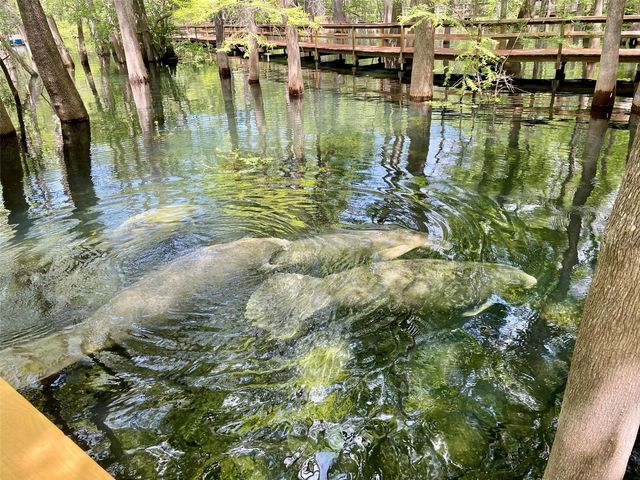 1376 RIVERSIDE AVENUE, Fort White, FL 32038