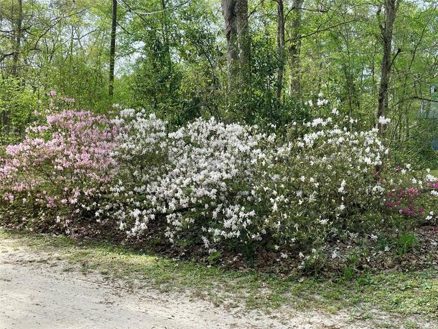 1376 RIVERSIDE AVENUE, Fort White, FL 32038