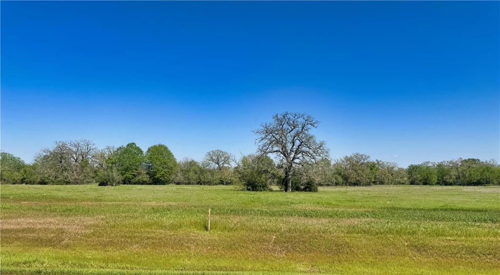 10172 Panther Creek Drive, Iola, TX 77861 — exterior