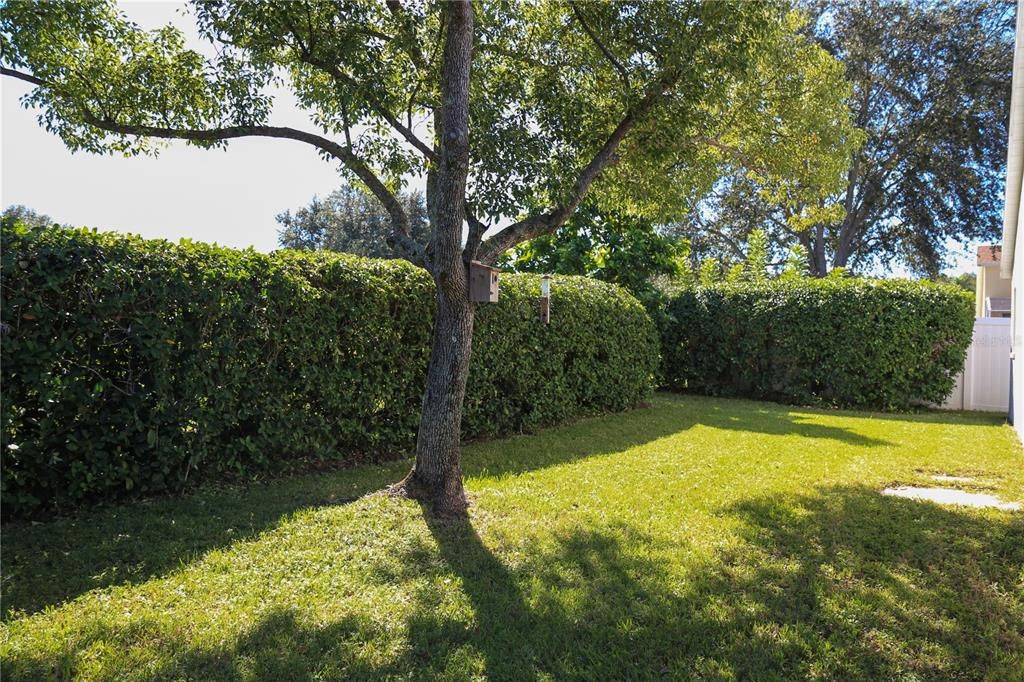 Image 26 of property listing at 15431 LAKE BELLA VISTA DRIVE, Tampa, FL 33625