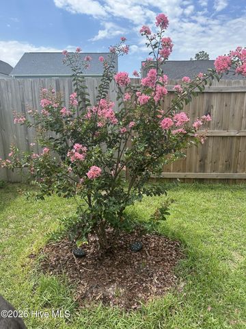 63 Thrush Trail, Hampstead, NC 28443