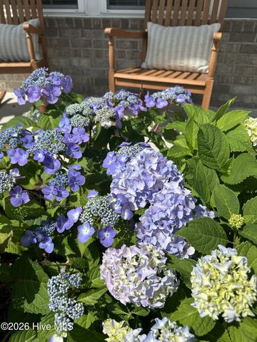 63 Thrush Trail, Hampstead, NC 28443