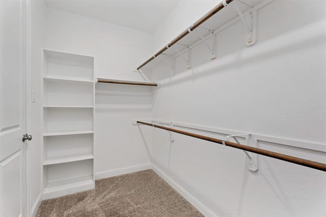 28210 Wooded Mist Drive, Spring, TX 77386