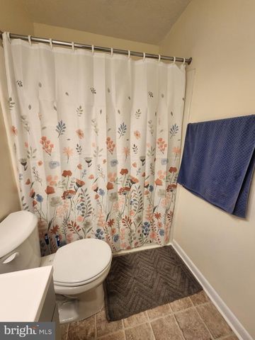 243 BRUNSWICK RD, Stephens City, VA 22655