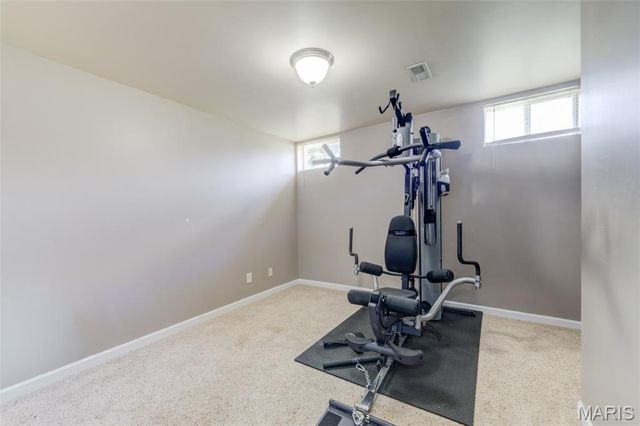 109 Emerald Isle Lane, Wentzville, MO 63385