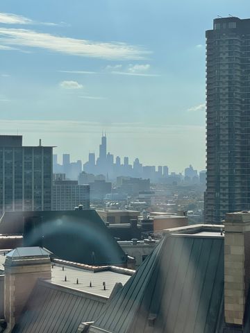 3900 N Lake Shore Drive 25C, Chicago, IL 60613