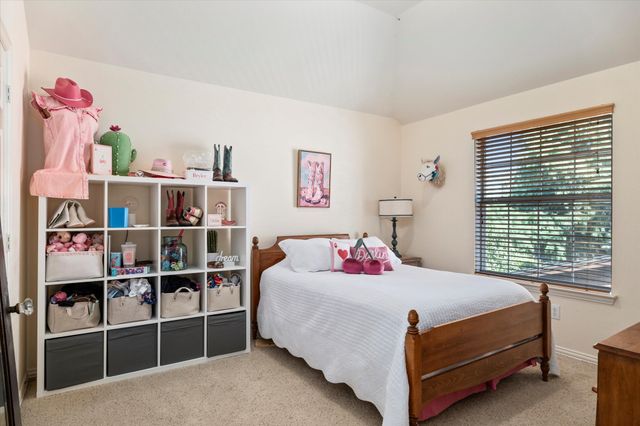 12329 Hawk Creek Drive, Frisco, TX 75033