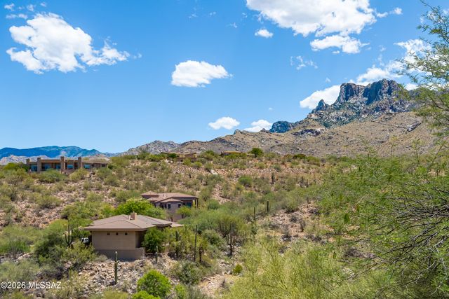 10290 N Calle Del Carnero, Oro Valley, AZ 85737