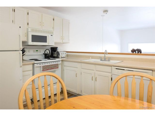 10000 Ryan Gulch Rd 105, Silverthorne, CO 80498