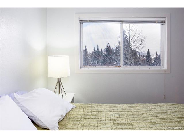 10000 Ryan Gulch Rd 105, Silverthorne, CO 80498