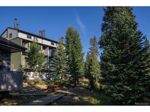 10000 Ryan Gulch Rd 105, Silverthorne, CO 80498