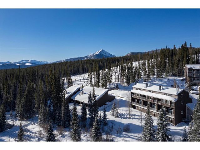 10000 Ryan Gulch Rd 105, Silverthorne, CO 80498