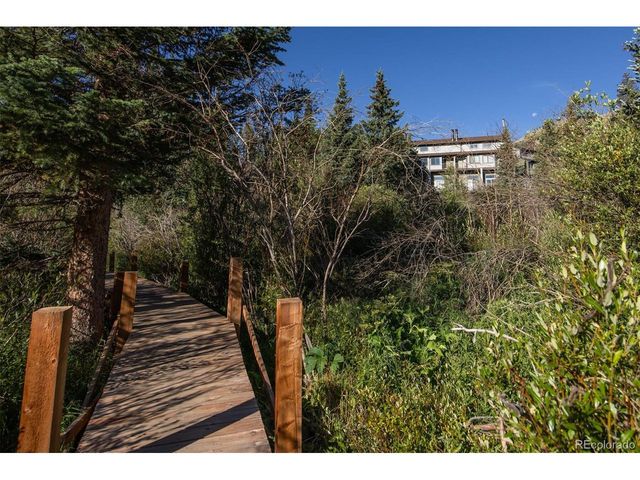 10000 Ryan Gulch Rd 105, Silverthorne, CO 80498