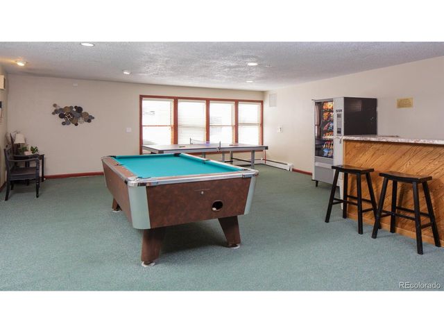 10000 Ryan Gulch Rd 105, Silverthorne, CO 80498