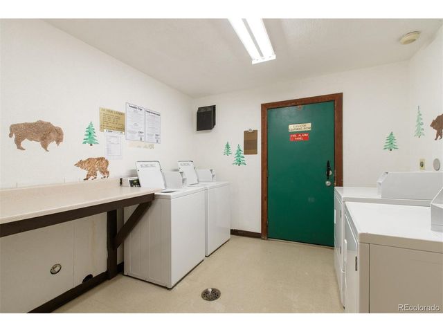 10000 Ryan Gulch Rd 105, Silverthorne, CO 80498