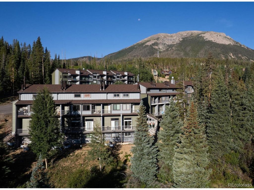 10000 Ryan Gulch Rd 105, Silverthorne, CO 80498