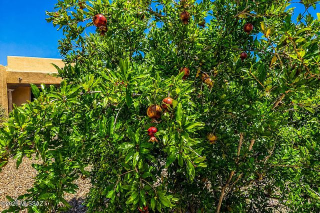 340 N Suntan Drive, Vail, AZ 85641