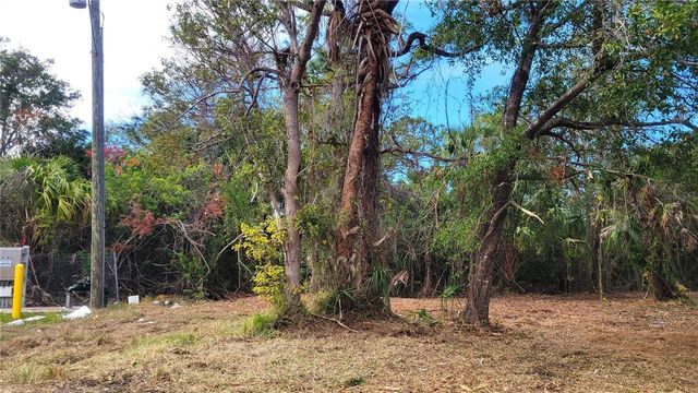 Lot 40 NEEDLES DRIVE, Hudson, FL 34667