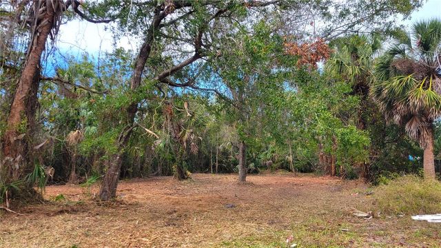 Lot 40 NEEDLES DRIVE, Hudson, FL 34667