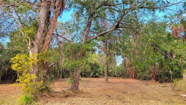 Lot 40 NEEDLES DRIVE, Hudson, FL 34667