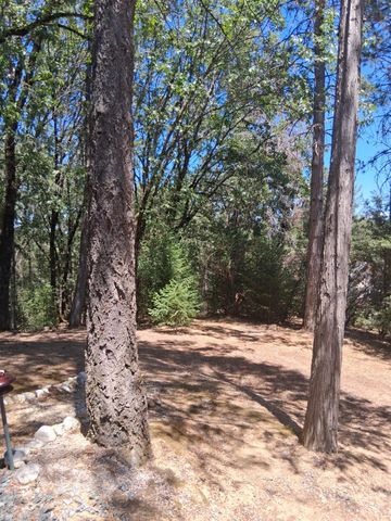 212265 N Manzanita, Colfax, CA 95713
