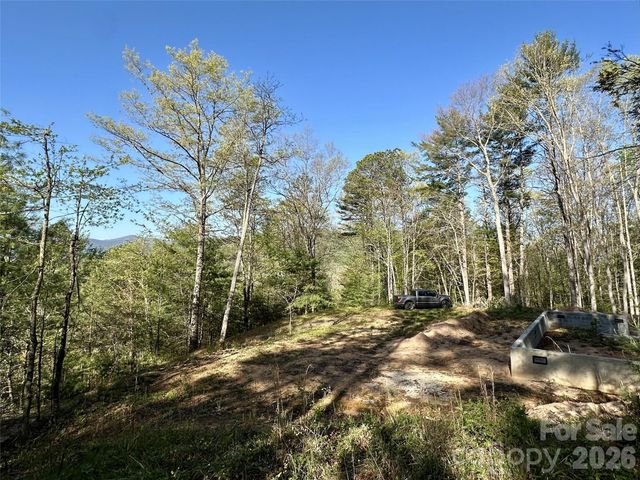 454 Dream Valley Drive, Clyde, NC 28721
