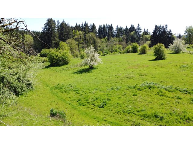 31080 Sw FIRDALE Rd, Cornelius, OR 97113